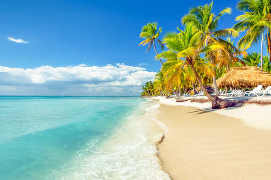 Isla Catalina. Credits: GetYourGuide